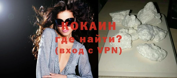индика Абаза