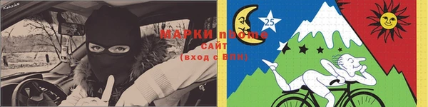 индика Абаза