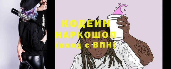 индика Абаза