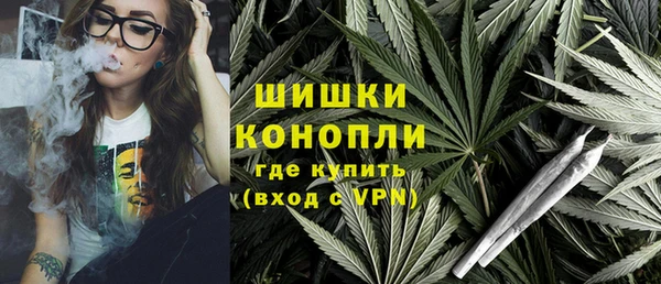индика Абаза