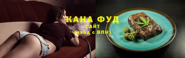 индика Абаза