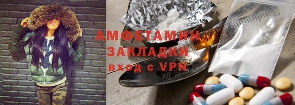 индика Абаза