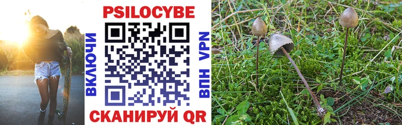 Псилоцибиновые грибы Psilocybine cubensis Кинешма