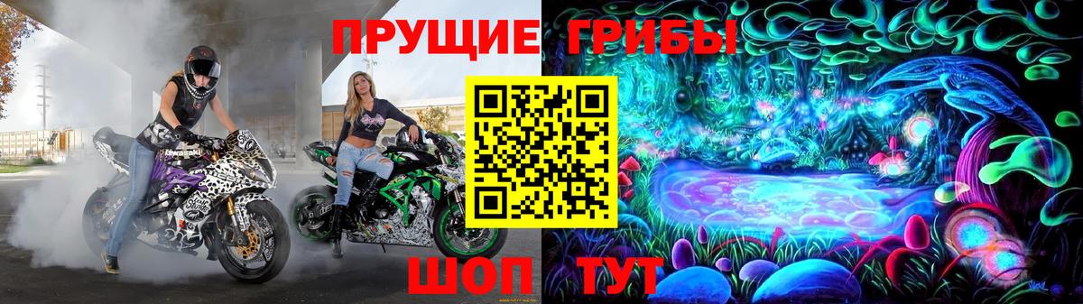 Псилоцибиновые грибы прущие грибы Кинешма